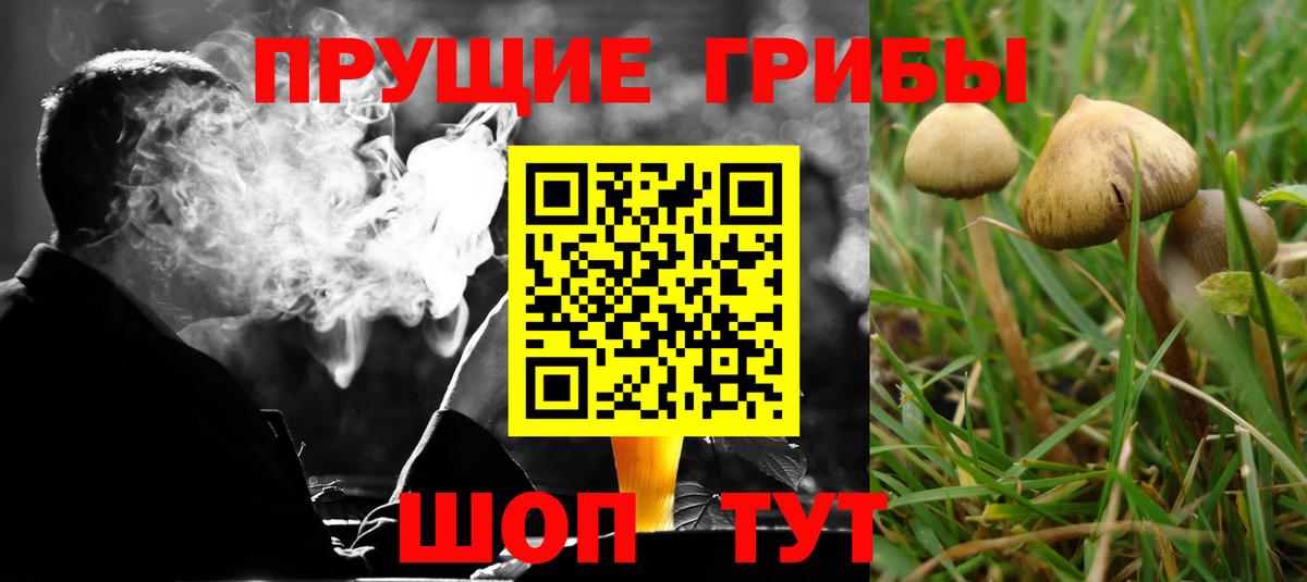 Галлюциногенные грибы мухоморы Ялуторовск